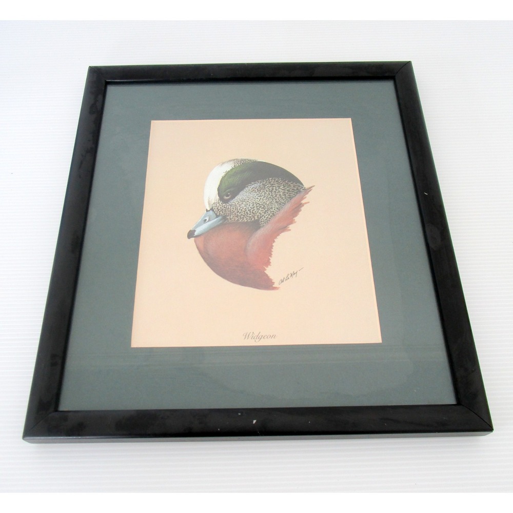 Art Lamay Widgeon Duck Watercolor Print Signed Black Frame Green Mat 13 x 14.5"